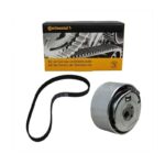 CT462K1 KIT CORREIA DENT.PALIO WEEK/SIENA